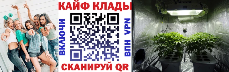 Где купить наркотики Терек Каннабис  Меф мяу мяу  COCAIN  ГАШИШ 