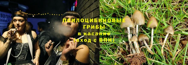 прущие крисы Беломорск