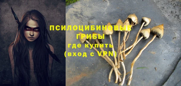 героин Богородицк