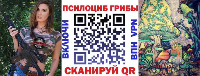 Галлюциногенные грибы прущие грибы  даркнет сайт  Терек 