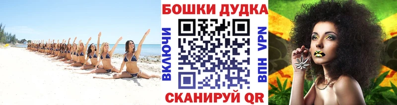Бошки Шишки индика  Терек 